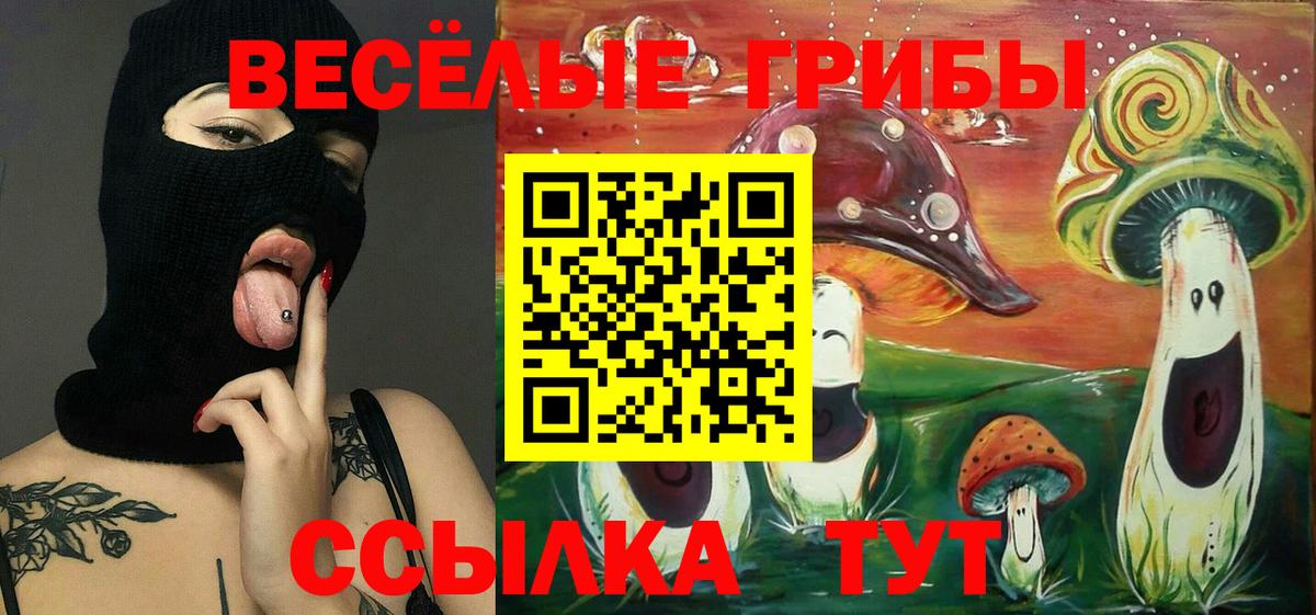Псилоцибиновые грибы MAGIC MUSHROOMS  Вход с VPN  Гай  Галлюциногенные грибы Magic Shrooms 