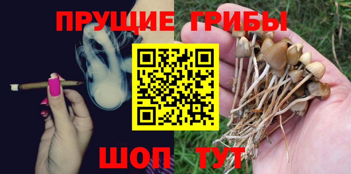 Галлюциногенные грибы Magic Shrooms Гай